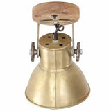 320509 Industrial Wall/Ceiling Lamps 2 pcs Brass 20x25 cm E27