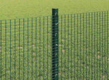 Welded Wire Fence with Posts 50 x 0.8 m PVC-Coated Steel Green 3336510