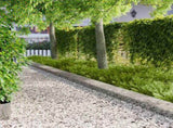 Lawn Edging 10 pcs 103 x 25 cm Steel Silver 8008500