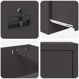 File Cabinet Black 45.5 x 42 x 74.5 cm Cold-Rolled Steel 891610