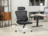 Ergonomic Office Chair, High Back Mesh Computer Desk Chair with Adjustable Headrest and Lumbar T3398P424982