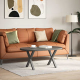 Coffee Table Legs X-Shaped 2 pcs Anthracite 50x cm Steel 4012898