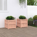 Garden Planters 2 pcs Solid Wood Douglas 837421