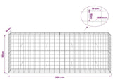 Gabion with 5 mm Wire and 10x10 cm Mesh 200x50x100 cm 3465214