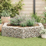 ZNTS Hexagonal Gabion Raised Bed 200x173x40 cm 142536