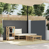 Side Awning Anthracite Polyester with PU coating 100 x 600 cm 48444