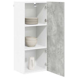 Hanging Cabinet with Door Riga Concrete Grey 40 x 31 x 100 cm 884341
