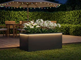 Garden Planter with LED Black 40 x 80 x 40 cm Steel 8008154
