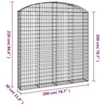 Arched Gabion Basket 200x30x200/220 cm Galvanised Iron 153470