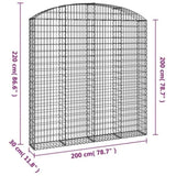 Arched Gabion Basket 200x30x200/220 cm Galvanised Iron 153470