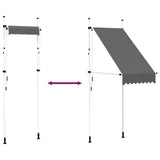 Manual Retractable Awning 100 cm Anthracite 145832