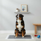 Non-woven Fabric Pet Training Pad 200 pcs 120 x 80 cm 42025318