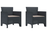 Garden Chair 2 pcs Anthracite 53 x 49 x 85 cm Polypropylene 847449