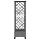 Raised Bed with Trellis and Roof Light Grey 164 x 40 x 127 cm 3423123