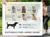 Easy Folding Pet Stroller for Large Dogs with 4 Big Wheels, Shock Absorb Frame, Safety Leashes, T3398P349609