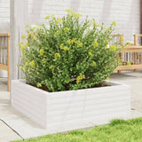Garden Planter White 70x70x23 cm Solid Wood Pine 847194