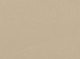 Retractable Side Awning Beige 120x600 cm 4004600