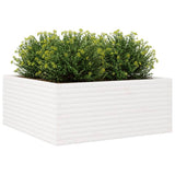 Garden Planter White 110x110x46 cm Solid Wood Pine 3282435