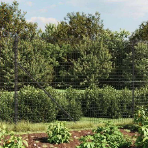 Wire Mesh Fence Anthracite 1.6x10 m Galvanised Steel 154196
