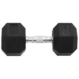 Dumbbell 17.5 kg Cast Iron 93607