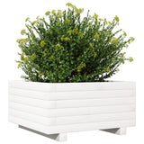 Garden Planter White 50x50x26.5 cm Solid Wood Pine 847294