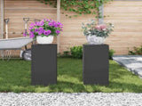 Plant Stand 2 pcs Black 24 x 24 x 55 cm Steel 865813