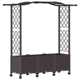 Raised Bed with Trellis and Roof Brown 164 x 40 x 144 cm PP 3423100