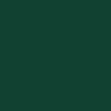 Garden Shed Green 192x152.5x237 cm Galvanised Steel 364529