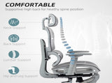 Multi-Adjustable Mesh Office Chair - Grey T3398P424984