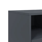 TV Cabinet Anthracite 100.5x39x43.5 cm Steel 846694