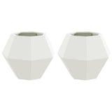 Planter 2 pcs White 50 x 50 x 40 cm Steel 884055