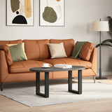 Coffee Table Legs U-Shaped 2 pcs Black 28x cm Steel 4013148