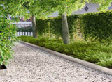 Lawn Edging 50 pcs 100 x 12 cm Steel Silver 8008803
