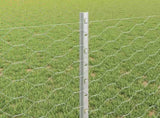Welded Wire Fence 100 x 0.8 m Hot-Dip Galvanised Steel 3337069