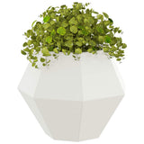 Planter 2 pcs White 50 x 50 x 40 cm Steel 884055