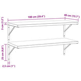Wall Shelves 2 pcs 100x40 cm Silver Stainless Steel 3214502