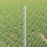 Fence and Post Silver 0.4 x 25 m Steel 3336301