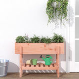 Garden Raised Bed 101x30x69 cm Solid Wood Douglas 825245