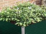 Raised Garden Bed 100x100x77 cm Galvanised Steel Green 47021