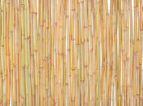 Bamboo Fence 300x100 cm 142683