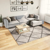 Shaggy Rug PAMPLONA High Pile Modern Beige and Anthracite 240x240 cm 375394