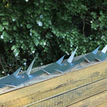 Wall Spikes 25 pcs Steel 1 m 144566