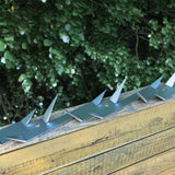Wall Spikes 25 pcs Steel 1 m 144566