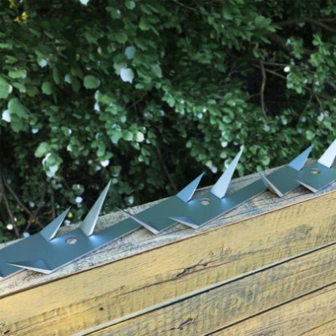 Wall Spikes 25 pcs Steel 1 m 144566