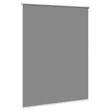 Outdoor Roller Blind UV Protection Light Grey Polyester 42041270