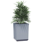 Planters 2 pcs Light Grey 30x30x37 cm Polypropylene 364181
