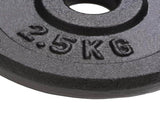 Weight Plates 8 pcs 8x2,5 kg Cast Iron 91391
