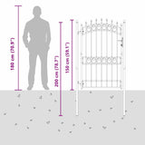 Fence Gate with Spikes EMMEN 200 x 100 cm Powder-coated steel 42008991