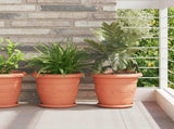 Plant Pots 6 pcs Brick Red 30 x 25 cm Plastic 3403272