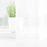 Voile Curtain with Curtains 2 pcs White 225 x 140 cm Polyester 4108009